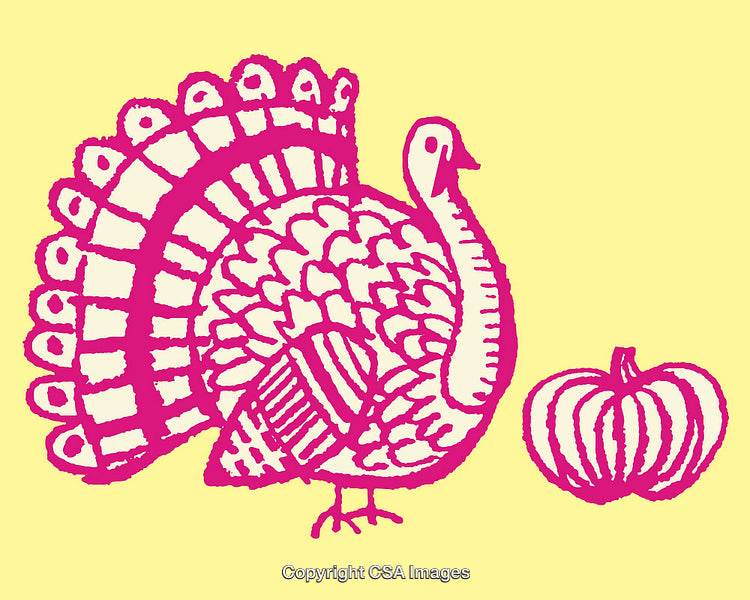 Colorful Line Art Illustration of Turkey and Pumpkin on Yellow Background