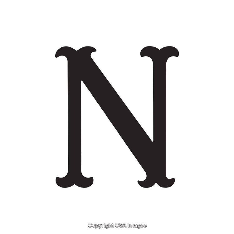 Elegant Depiction of the Letter N in Classic Serif Style Design