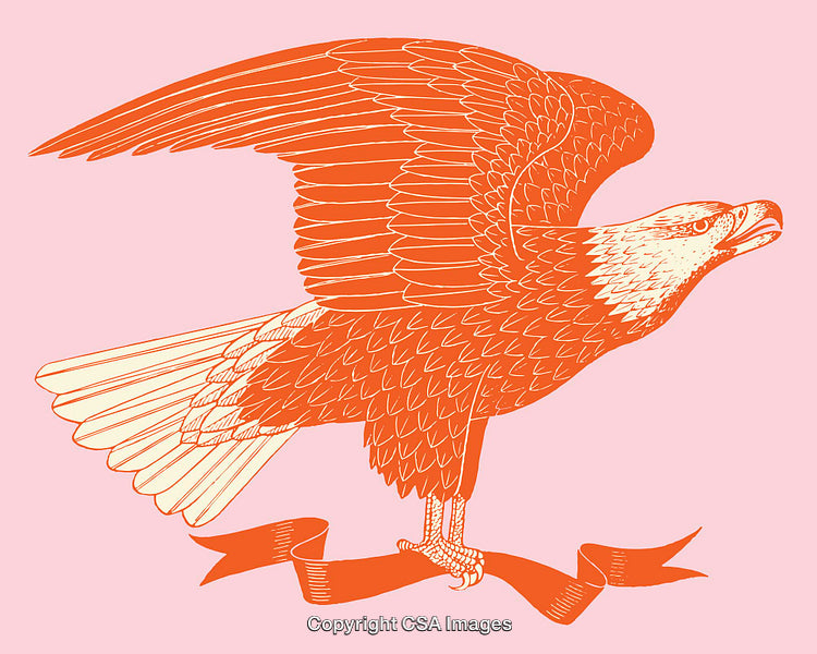 Illustrated Eagle Drawing With Ribbon on Bold Pink Background