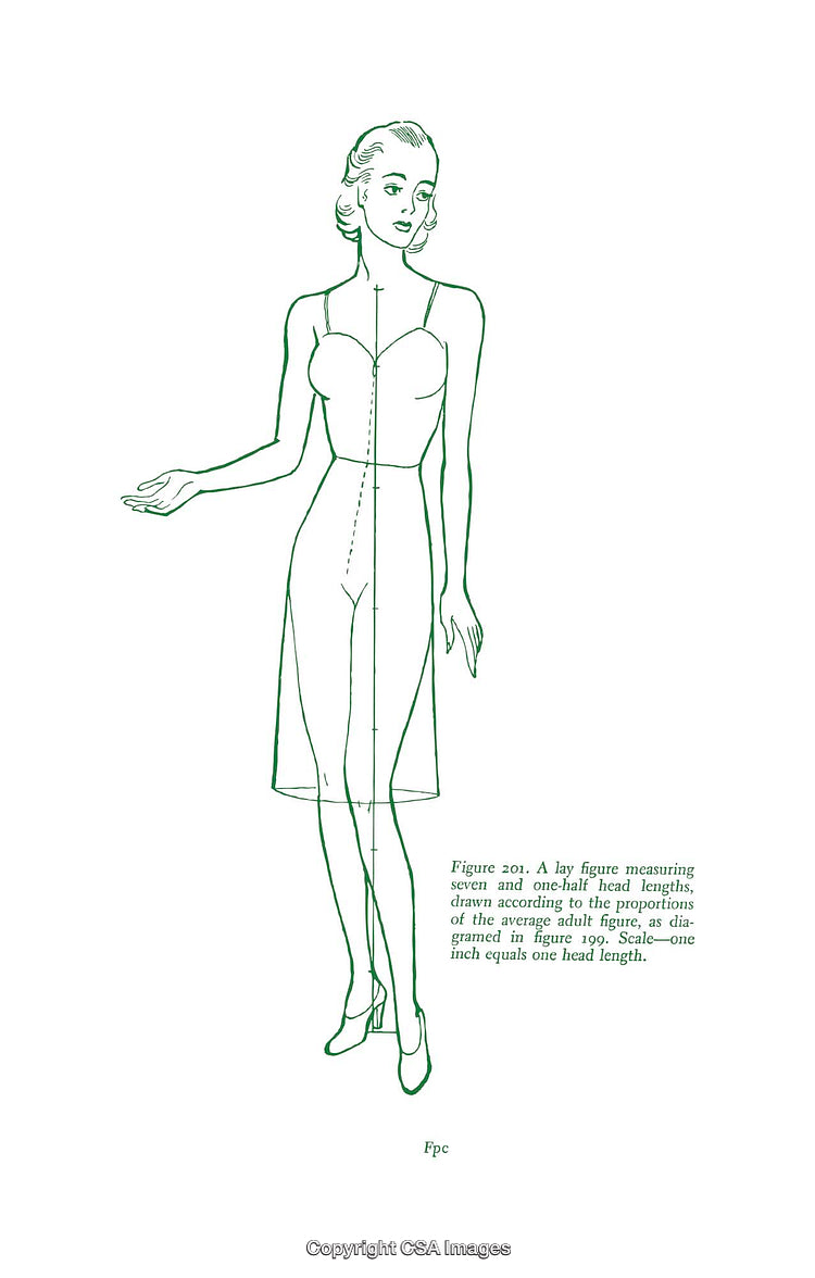 Illustration of Female Figure Following Proportional Guidelines for Artistic Reference
