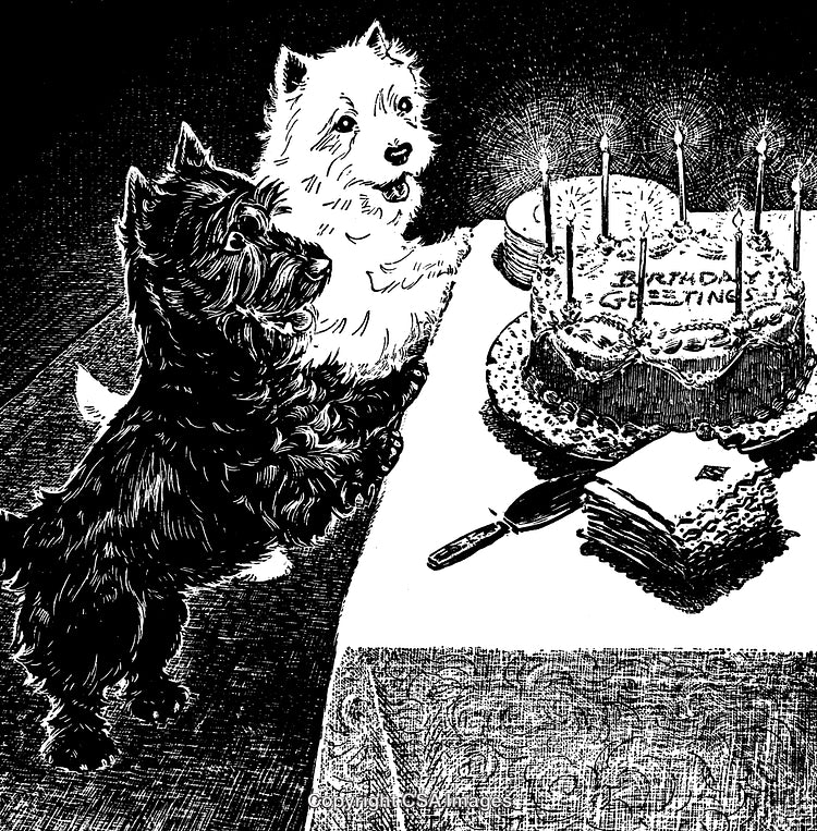 Two Dogs Celebrating a Birthday with a Cake Featuring Candles