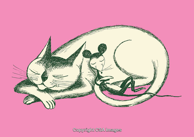 Whimsical Line Art of Cat and Mouse Sleeping Together on Pink Background