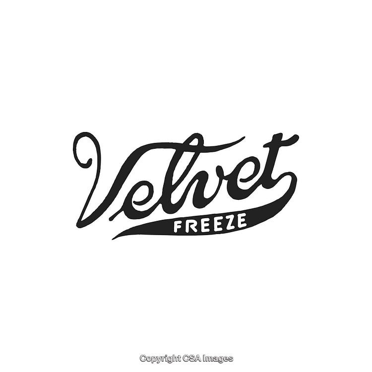 Elegant Handwritten Velvet Freeze Logo in Black and White Design