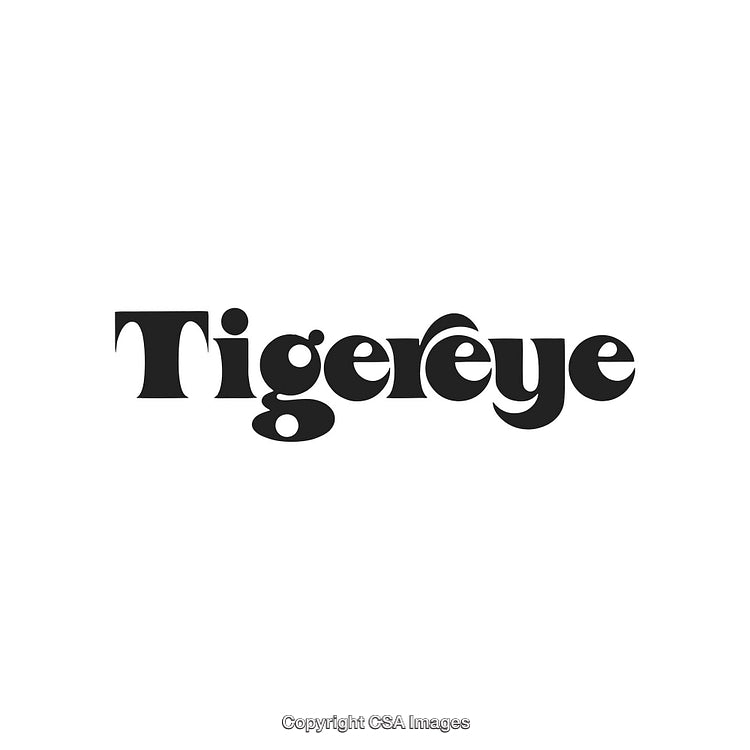 Stylized Artistic Logo Design Featuring the Word Tigereye in Bold Black Text