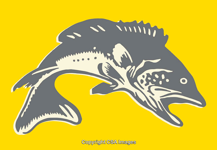 Stylized Illustration of a Fish in Gray and Yellow Design