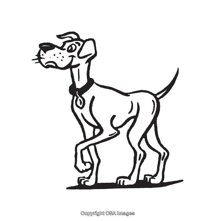 Black-and-White Line Art Illustration of a Dog Facing Forward