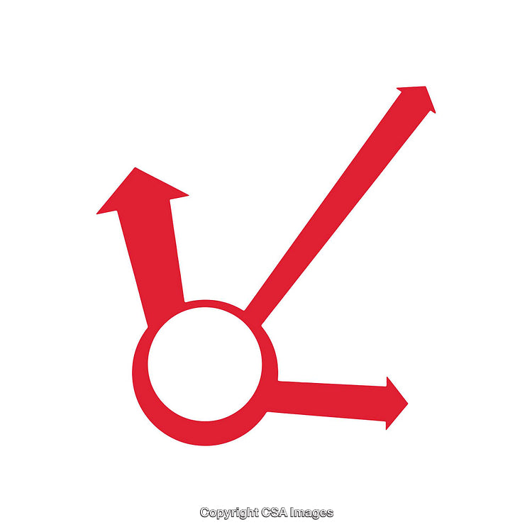 Red Symbol Depicting Arrows Pointing in Different Directions