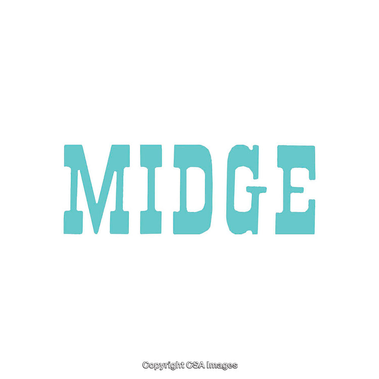 Blue Typography Design Displaying the Word Midge on White Background