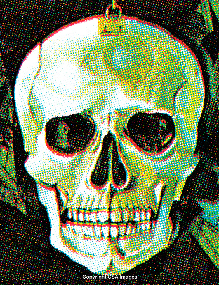 Colorful Halftone Illustration of a Skull with Artistic Details