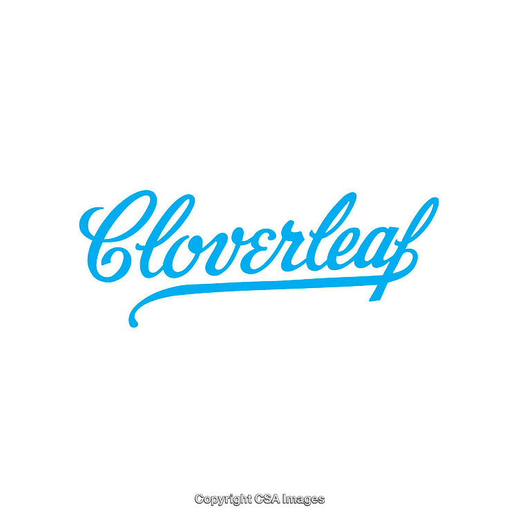 Blue Script Text with Decorative Design on White Background