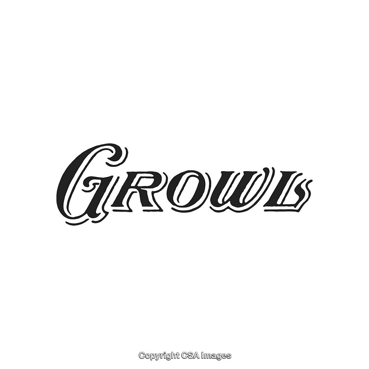 Bold Stylized Text Depicting the Word Growl in a Dynamic Font Style