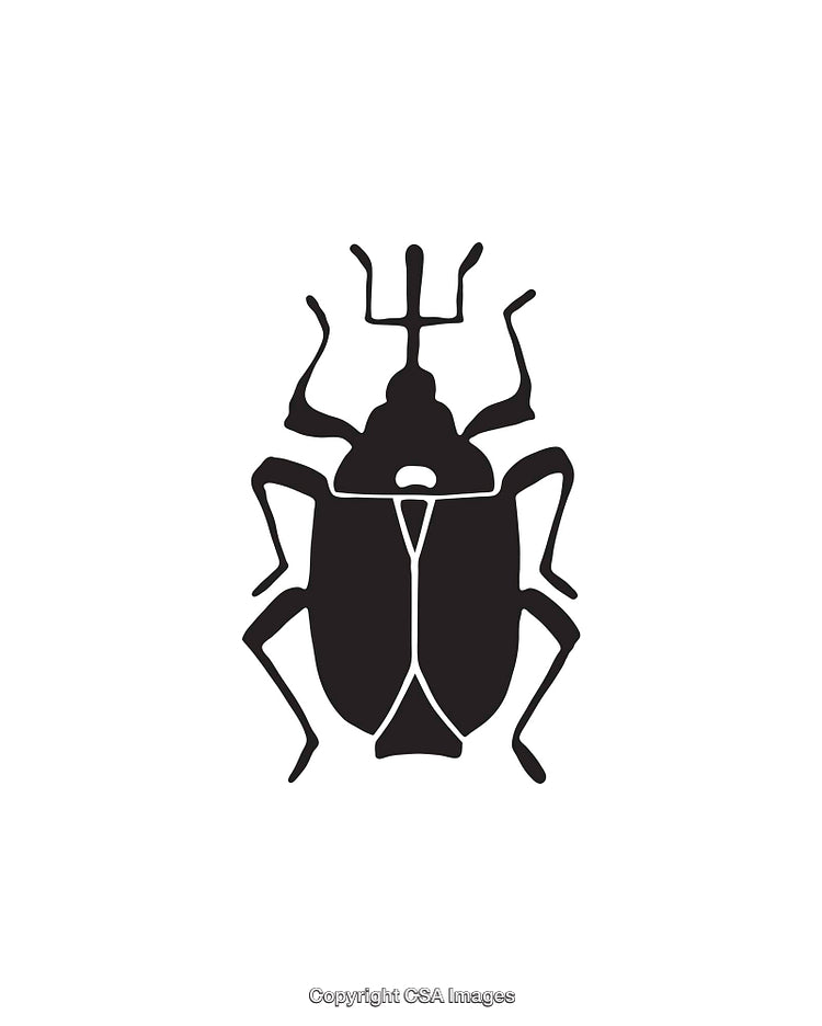 Black and White Insect Silhouette Icon for Design and Illustration