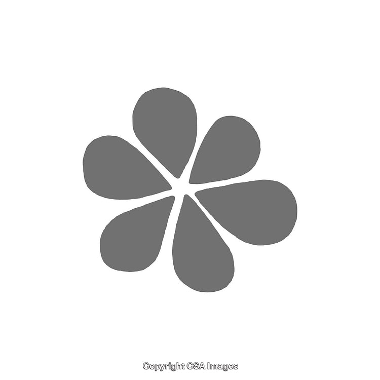 Minimalistic Gray Flower Design on a White Background