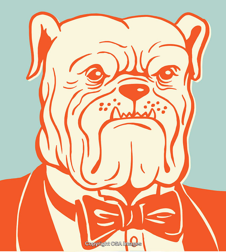Whimsical Bulldog Illustration Wearing Formal Attire in Orange Line Art Style