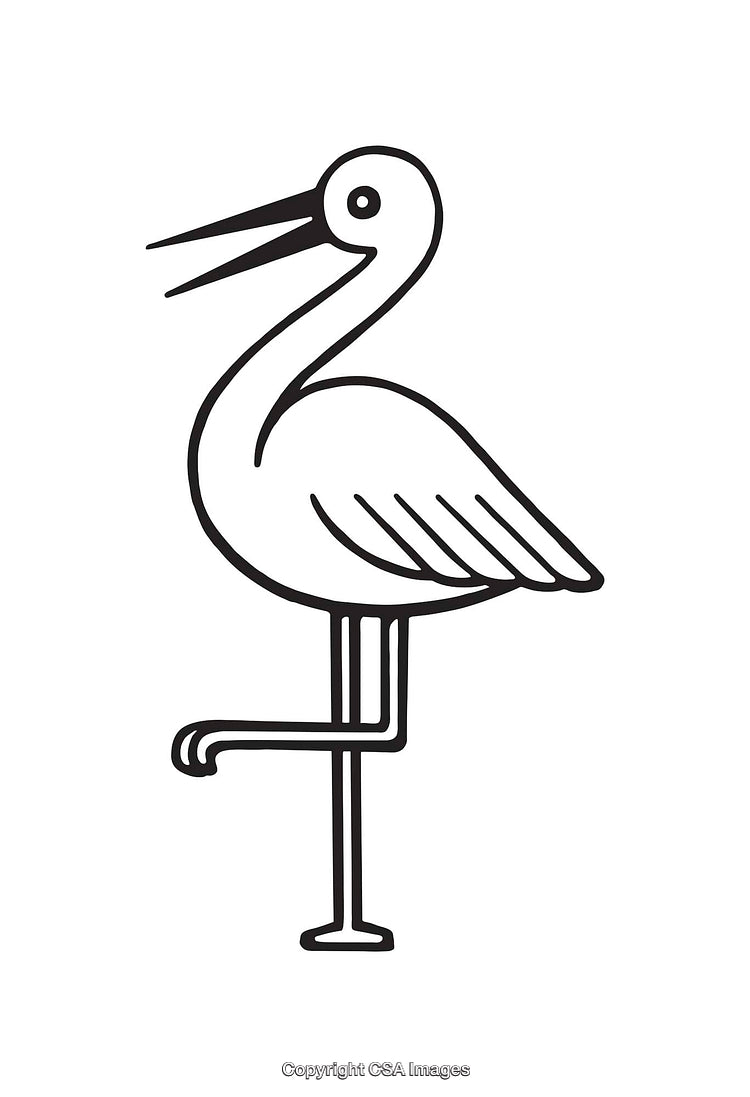 Line Art Illustration of a Bird Standing on One Leg