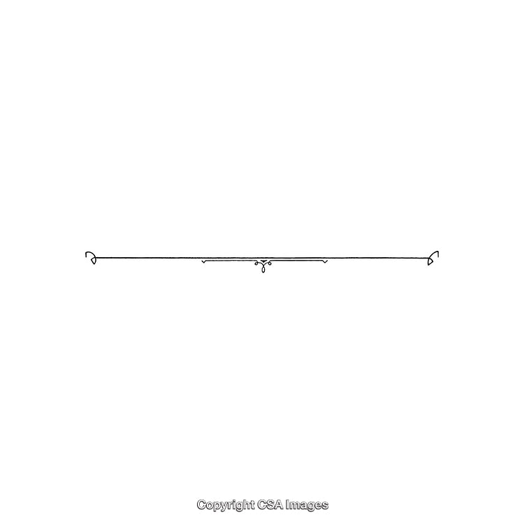 Elegant Black and White Decorative Ornament with Simple Minimalist Flourishes