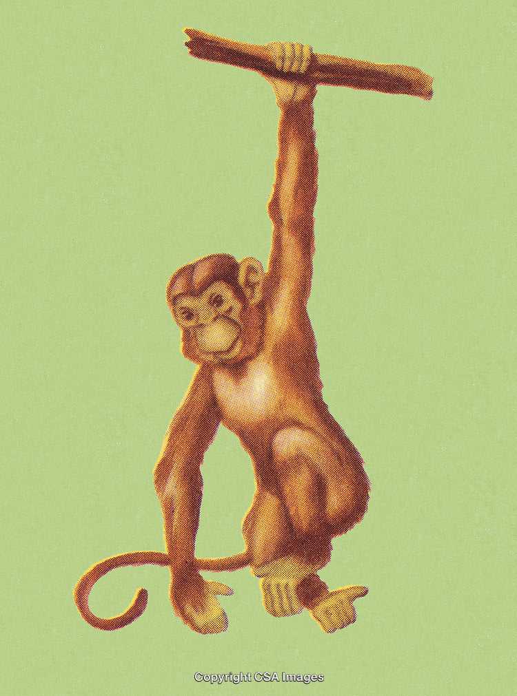 Monkey Hanging From a Tree Branch Against a Light Green Background