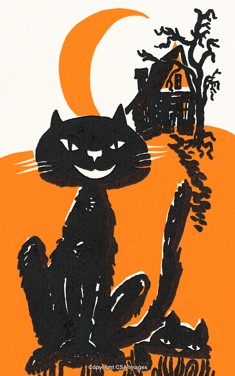 Illustration of a Cat at Night with a House and Crescent Moon