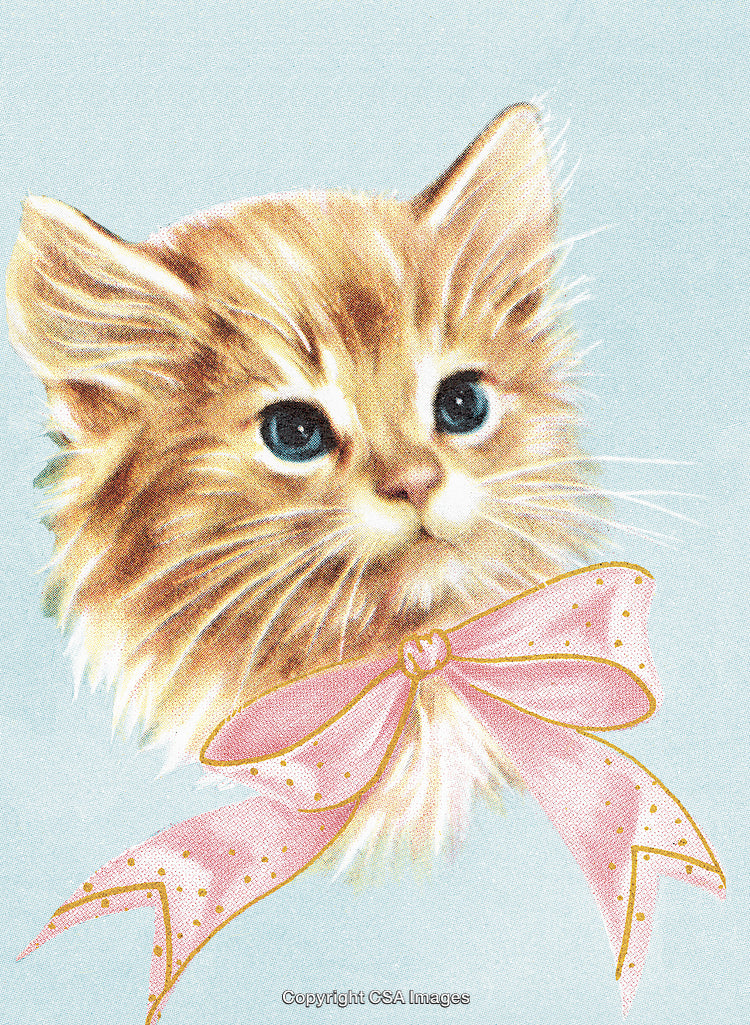 Adorable Illustration of a Kitten With a Decorative Pink Bow on Its Neck