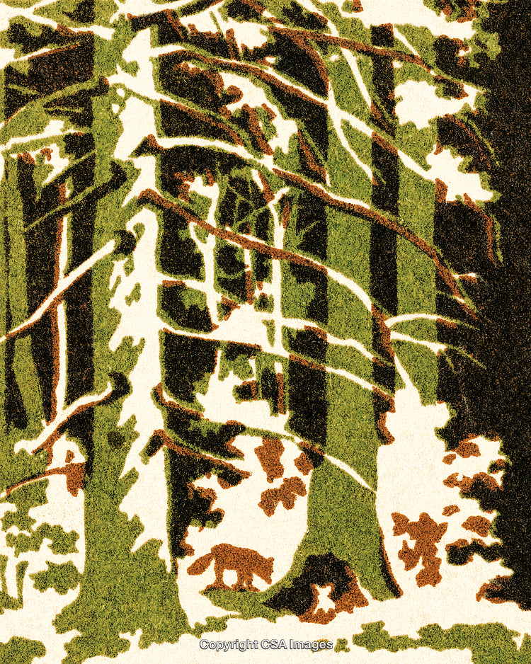Illustration of a Forest Scene with Wildlife and Dense Trees