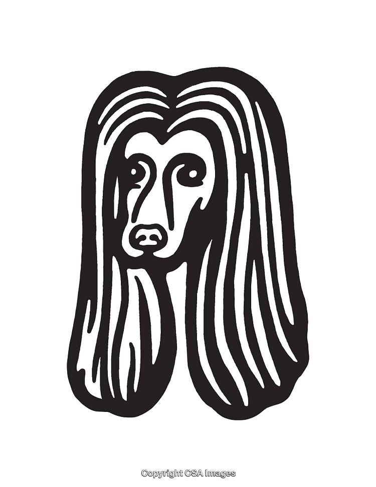 Monochrome Line Art Illustration of a Dog with Long Hair