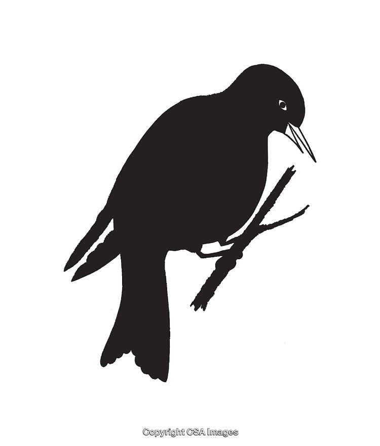 Silhouette of a Bird Perched on a Branch in Line Art Style