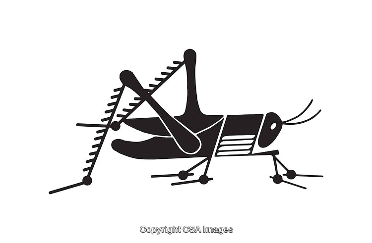 Black and White Line Art Illustration of a Grasshopper