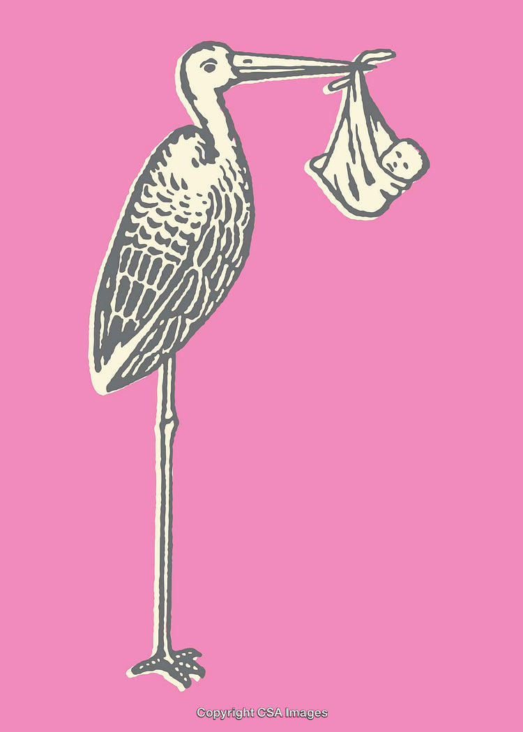Illustration of Stork Carrying Baby Bundle on Soft Pink Background