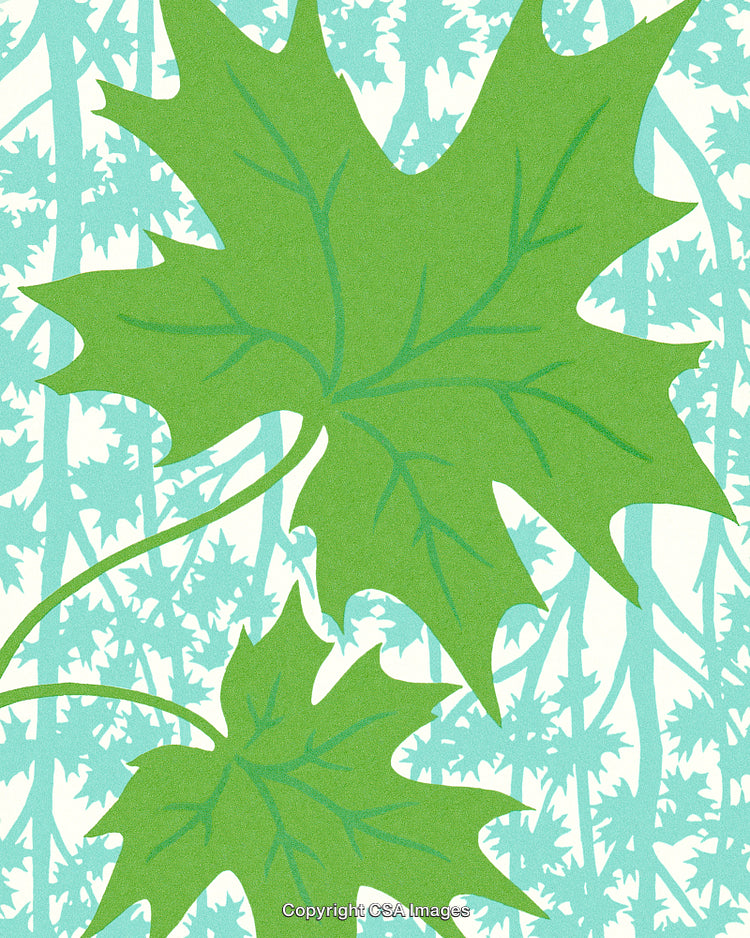 Stylized Maple Leaves On a Botanical-Inspired Abstract Background