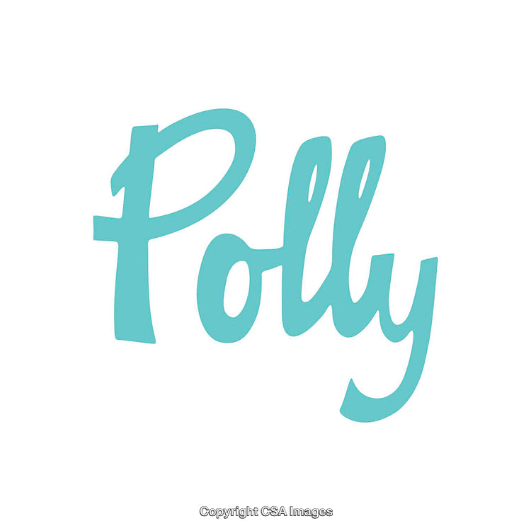 Turquoise Script Text Depicting the Word Polly on White Background