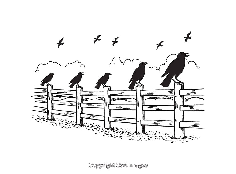 Black and White Illustration of Birds Perched on a Wooden Fence