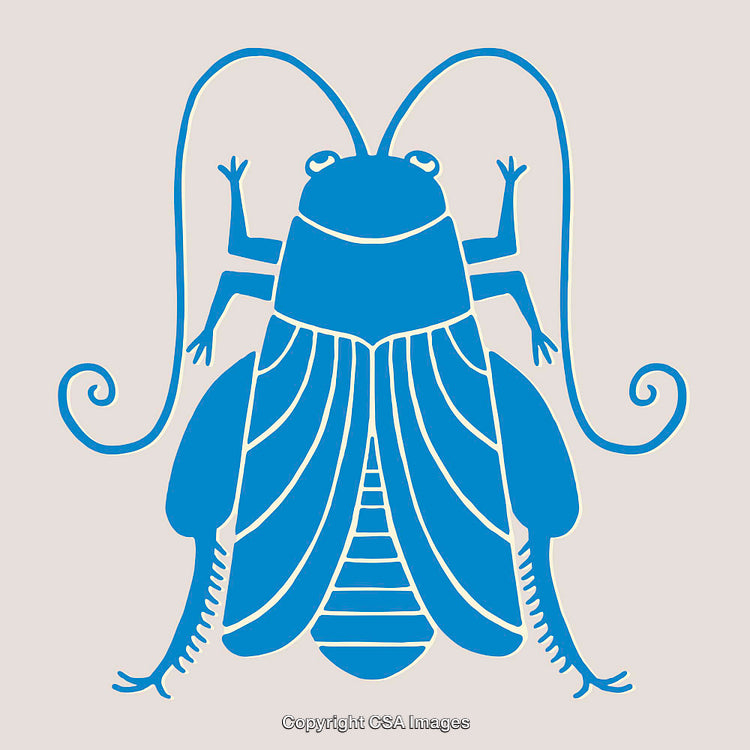 Blue Artistic Illustration of a Cricket Insect with Abstract Design Elements