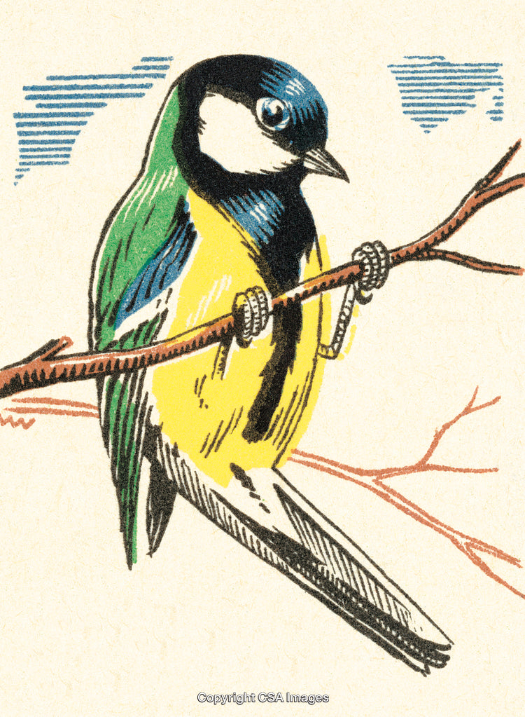 Bright Illustration of a Small Songbird Perched on a Tree Branch