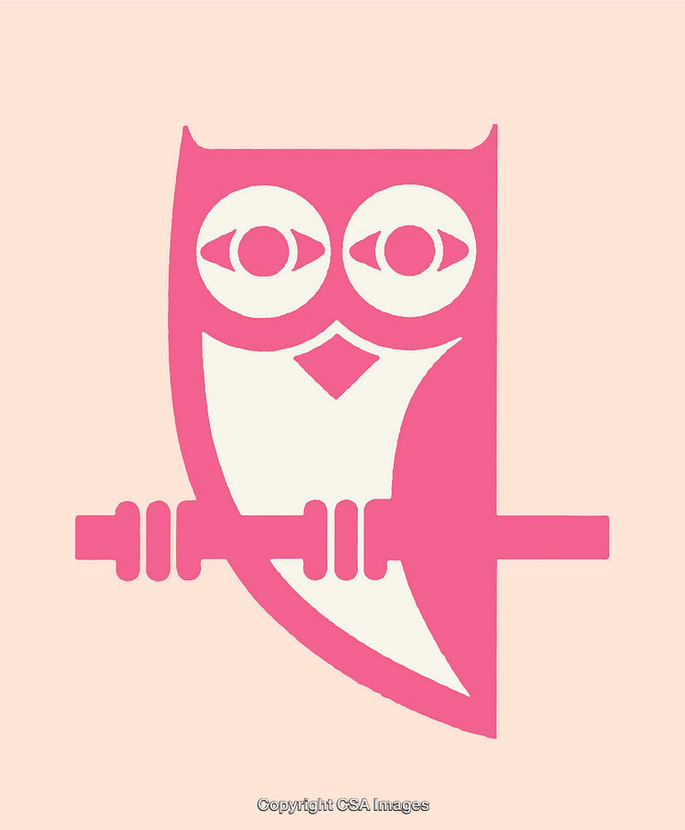 Stylized Pink Owl Illustration With Bold Lines and Modern Design
