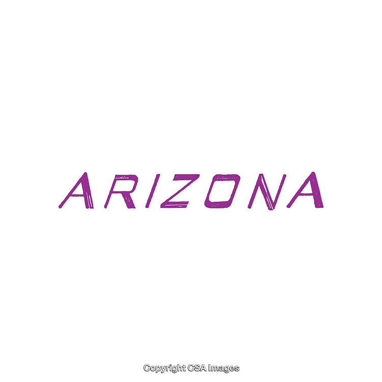 Stylized Purple Arizona Text on a Crisp White Background