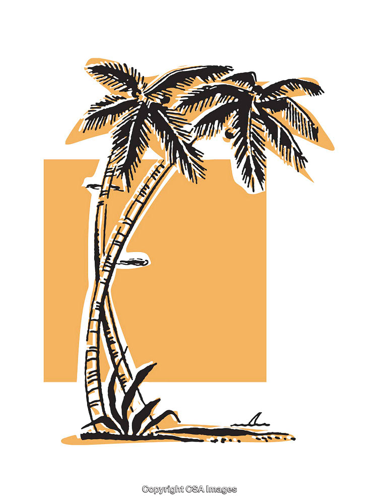 Colorful Illustration of Palm Trees on a Simple Tropical Background