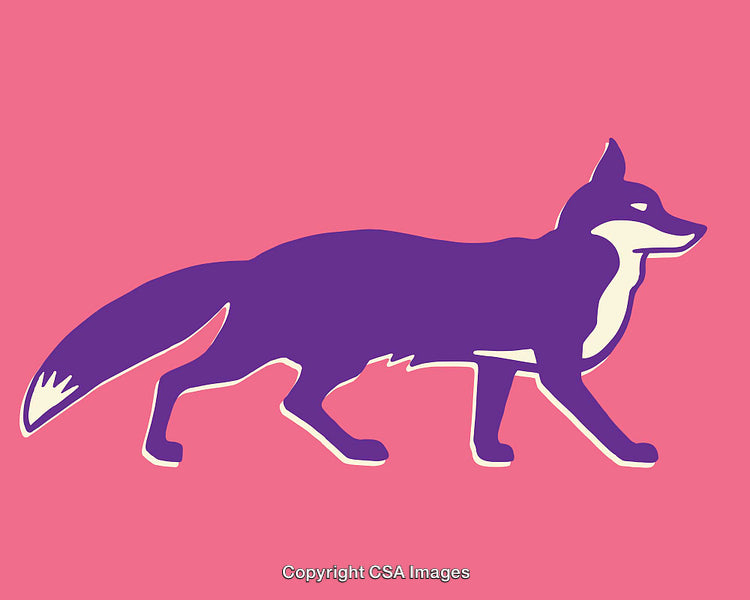 Colorful Minimalist Illustration of Fox Silhouette on Pink Background
