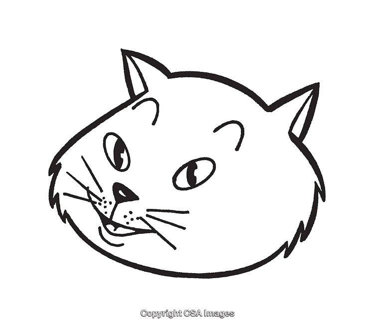 Black and White Line Art Illustration of a Cat's Expressive Face