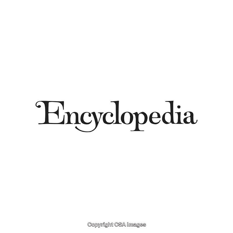 Elegant Encyclopedia Text with Stylish Font Design on White Background