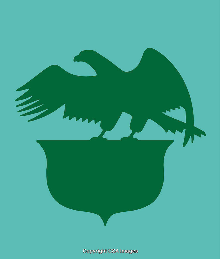 Elegant Eagle Insignia Emblem with Shield in a Simple Line Art Style
