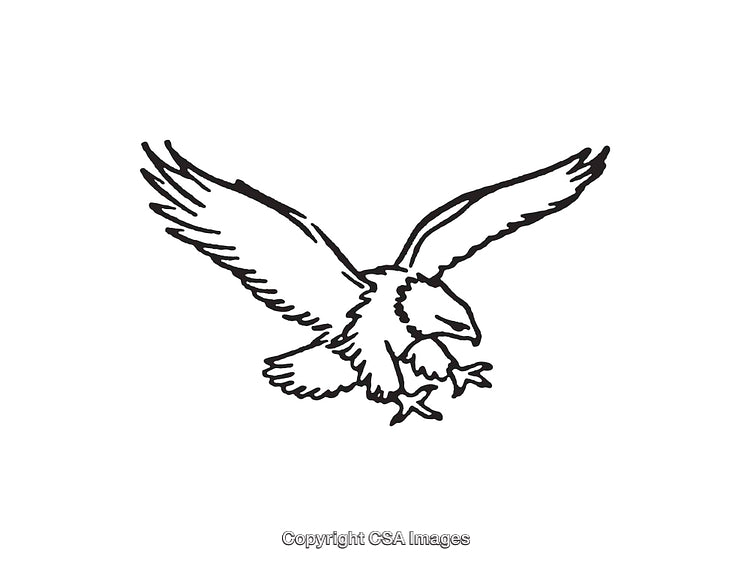 Black And White Line Art Illustration of a Soaring Eagle in Flight