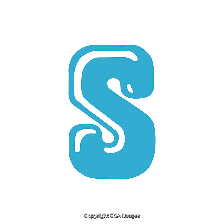 Blue Letter S in Bold Artistic Font on White Background