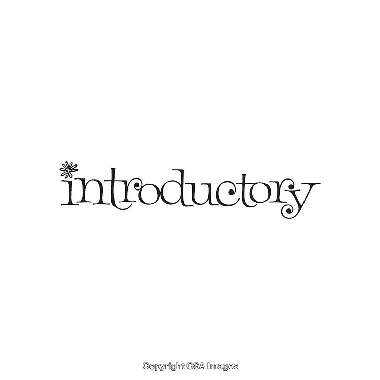 Artistic Handwritten Style Text Displaying the Word Introductory in Unique Typography
