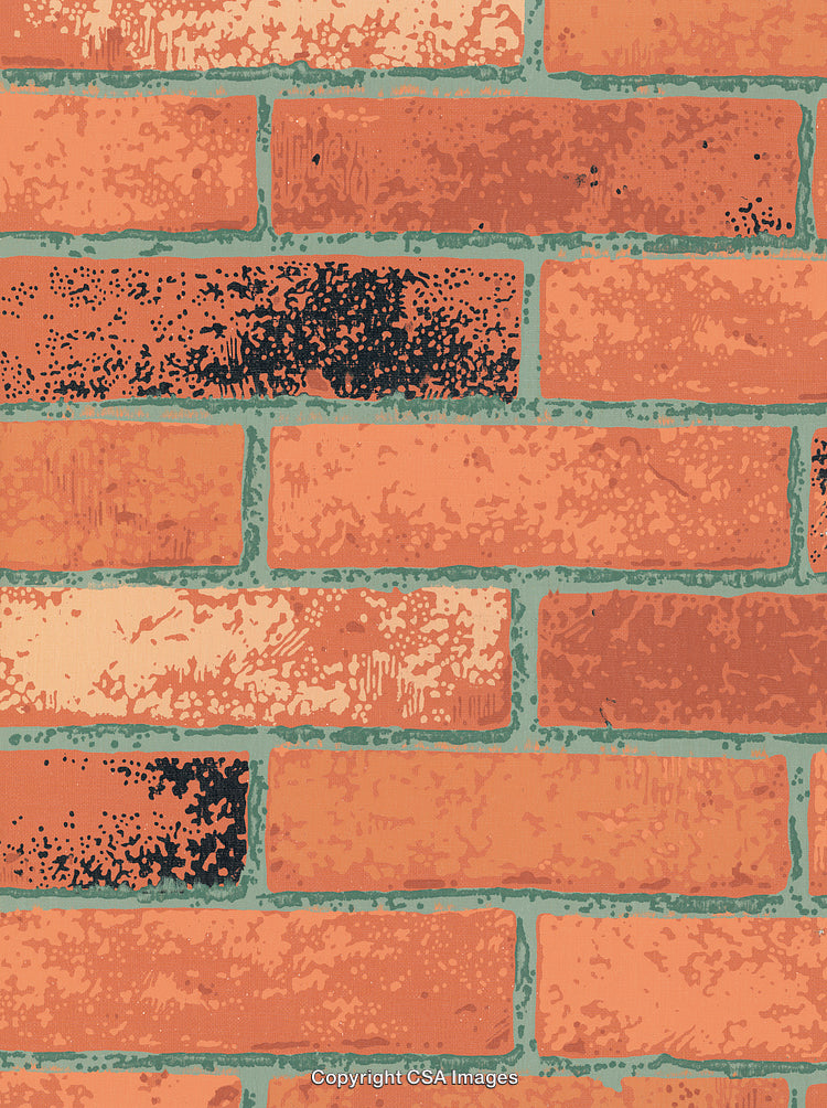 Bricks