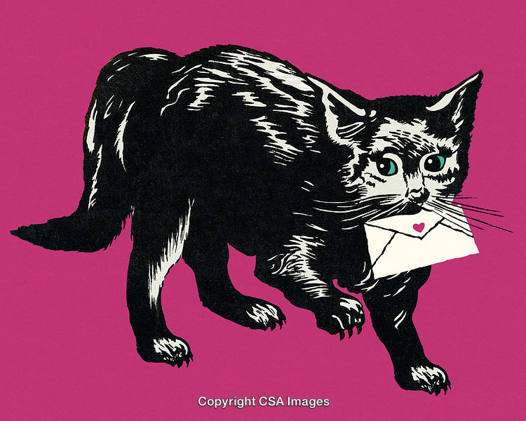 Black Cat Holding Envelope With Heart Design on Vibrant Pink Background