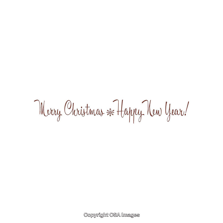 Elegant Christmas and New Year Greeting Card With Festive Message