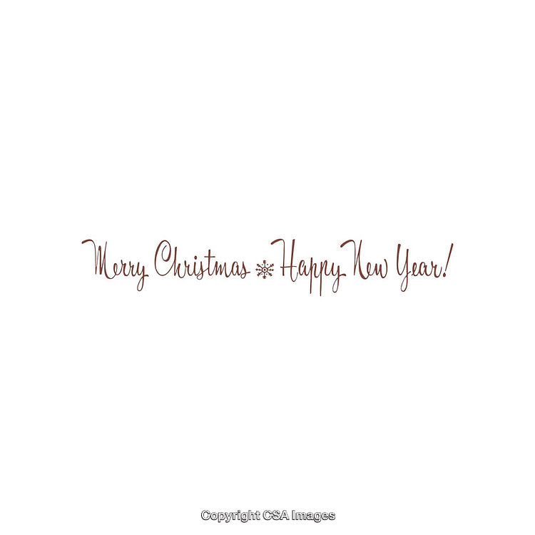 Elegant Christmas and New Year Greeting Card With Festive Message