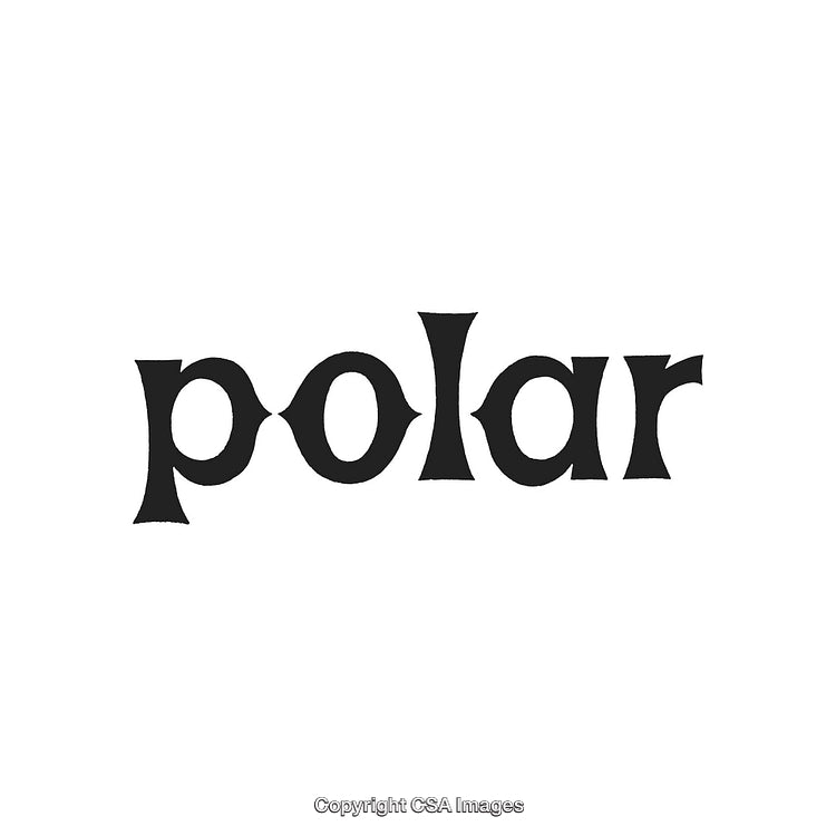 Minimalistic Black 'Polar' Text on a Clean White Background