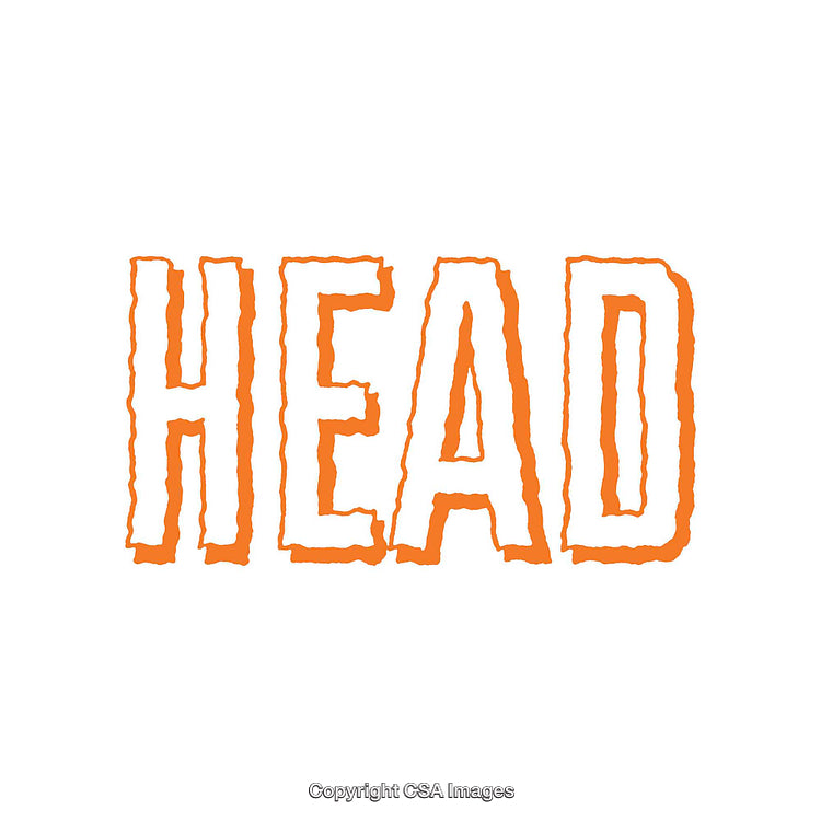 Bold Orange Text on White Background with Vibrant Lettering