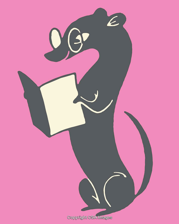Cartoon Portrait of a Weasel Reading a Book Against a Pink Background